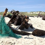 Wrack am Strand von Norderney © Harald Pott